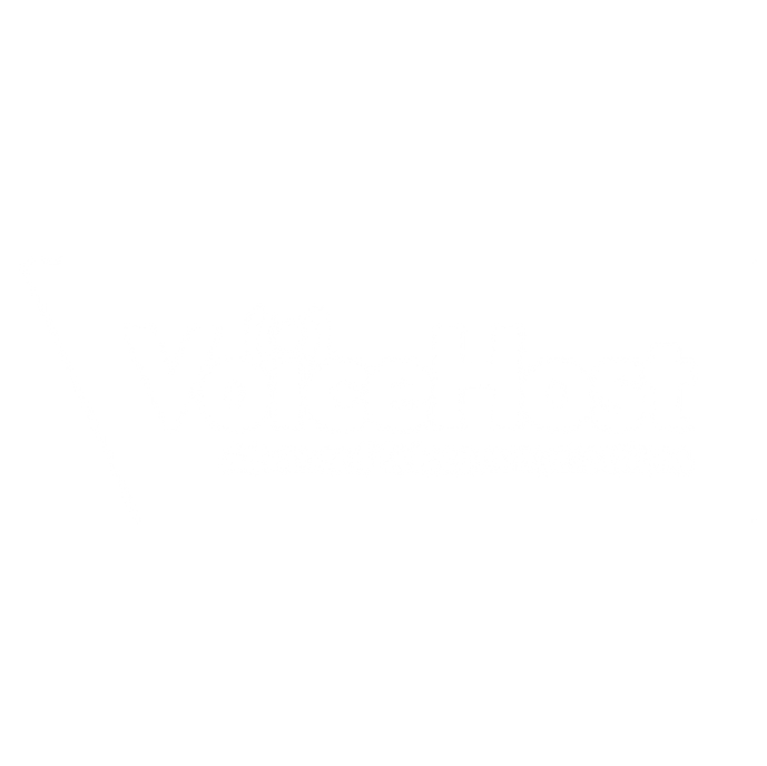 VoiceHost